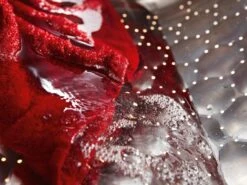 MIELE WTD163 WCS 8/5 Kg 8 MIELE WTD163 WCS 8/5 Kg -Magasin D'Électroménager 20000104428 1