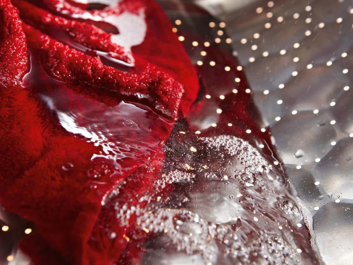 MIELE WTD163 WCS 8/5 Kg 5 MIELE WTD163 WCS 8/5 Kg – Image 3