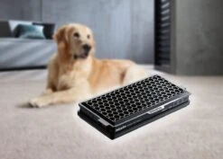 MIELE SB SET FJM+AA HyClean XL-Pack 6 MIELE SB SET FJM+AA HyClean XL-Pack -Magasin D'Électroménager 20000151354 1