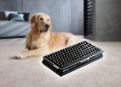 MIELE SB SET GN+AA HyClean XL-Pack 8 MIELE SB SET GN+AA HyClean XL-Pack -Magasin D'Électroménager 20000151354