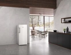 MIELE FN 4722 E -Magasin D'Électroménager 20000184402